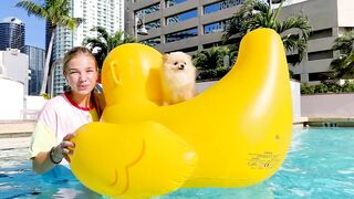 Challenge in the pool - real food vs floating