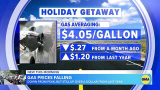 Millions hit the road and skies for holiday travel l GMA