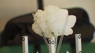 Experts travel to Salado to 3D scan large hailstone | FOX 7 Austin