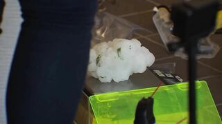 Experts travel to Salado to 3D scan large hailstone | FOX 7 Austin