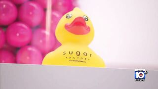 Sugar Factory opens in Aventura Mall and it's a celebrity sweet spot