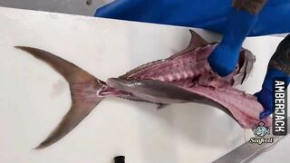 Amazing Live Fish Cutting Skills | Fish Cutting Compilation | fish cutting videos #seafood