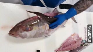 Amazing Live Fish Cutting Skills | Fish Cutting Compilation | fish cutting videos #seafood