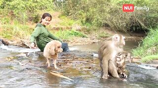 Nui and Poni went down to the stream to bathe with everyone | Nui Family