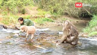 Nui and Poni went down to the stream to bathe with everyone | Nui Family