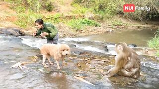 Nui and Poni went down to the stream to bathe with everyone | Nui Family