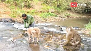 Nui and Poni went down to the stream to bathe with everyone | Nui Family