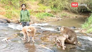 Nui and Poni went down to the stream to bathe with everyone | Nui Family