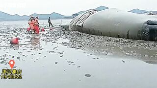 A 9-meter whale was stranded in the beach of Zhe jiang, China. It is being treated urgently.