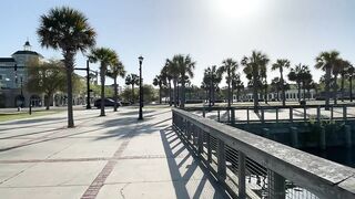 Beautiful Morning at Market Common For A Walk - Myrtle Beach