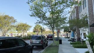 Beautiful Morning at Market Common For A Walk - Myrtle Beach