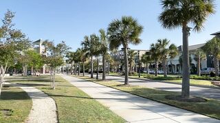 Beautiful Morning at Market Common For A Walk - Myrtle Beach