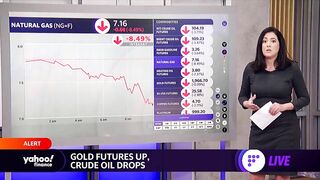 Market check: EV and travel stocks rise, crude oil drops