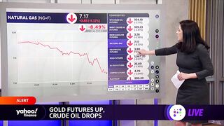 Market check: EV and travel stocks rise, crude oil drops