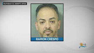 Florida Girl Elbows Delray Beach Alleged Molester