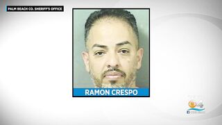 Florida Girl Elbows Delray Beach Alleged Molester