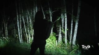 Team Finds Multiple Unexplainable Tree Structures | Expedition Bigfoot | Travel Channel