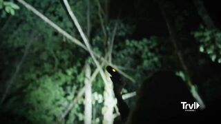 Team Finds Multiple Unexplainable Tree Structures | Expedition Bigfoot | Travel Channel