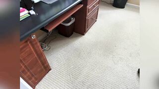 Incredible Carpet Stretching Results!!!