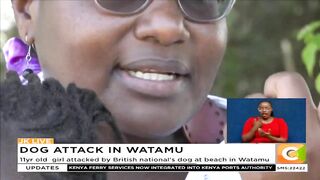 11yr old girl attacked by British national's dog at beach in Watamu