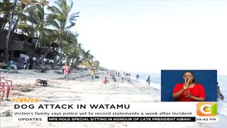 11yr old girl attacked by British national's dog at beach in Watamu