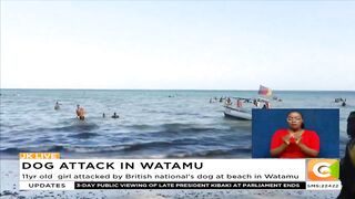 11yr old girl attacked by British national's dog at beach in Watamu