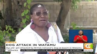 11yr old girl attacked by British national's dog at beach in Watamu