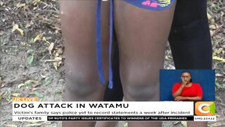 11yr old girl attacked by British national's dog at beach in Watamu