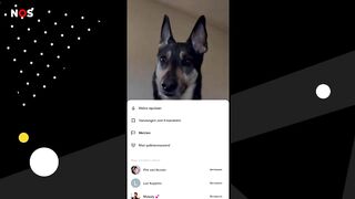 Veel kinderen zien ongeschikte video's op TikTok