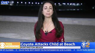 Girl attacked by coyote near Huntington Beach Pier