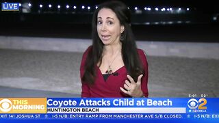 Girl attacked by coyote near Huntington Beach Pier