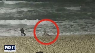 New video shows moment coyote attacks toddler on Huntington Beach