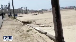 New video shows moment coyote attacks toddler on Huntington Beach