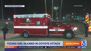 Coyote attacks girl in Huntington Beach: Police