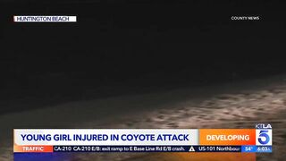 Coyote attacks girl in Huntington Beach: Police