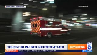 Coyote attacks girl in Huntington Beach: Police