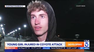 Coyote attacks girl in Huntington Beach: Police