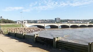 Promenade starts here at Blue Lagoon to Point Beach Waterfront Durban KwaZulu-Natal ????????