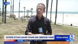 Coyote attacks 2-year-old near Huntington Beach Pier