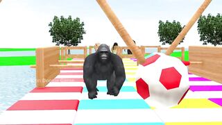 Mammoth elephant, gorilla, buffalo, Lion, squid games play races to overcome challenges