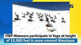 Yoga At 15,000 Feet In Snow-Covered Himalayas By Soldiers