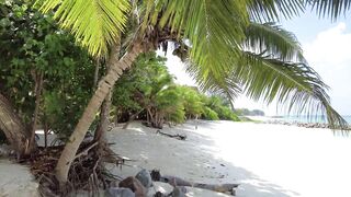 SEYCHELLES - ISLAND OF PRASLIN - Villa Admiral