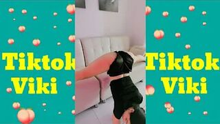 Cute Tiktok Twerk Challenge on Fire ???????????? #tiktok #shorts #tiktokchallenge #bigbank #tiktoktwerk