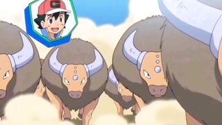 Everytime Ash hit by his 30 Tauros Compilation