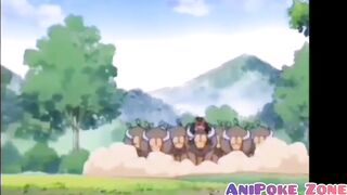 Everytime Ash hit by his 30 Tauros Compilation