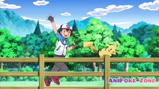 Everytime Ash hit by his 30 Tauros Compilation