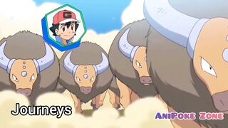 Everytime Ash hit by his 30 Tauros Compilation