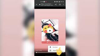 Instagram Story and video download
