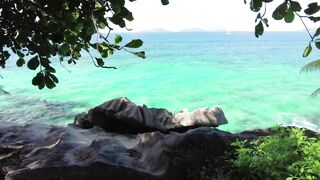 BICYCLE   La Digue   SEYCHELLES