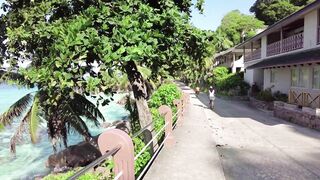 BICYCLE   La Digue   SEYCHELLES